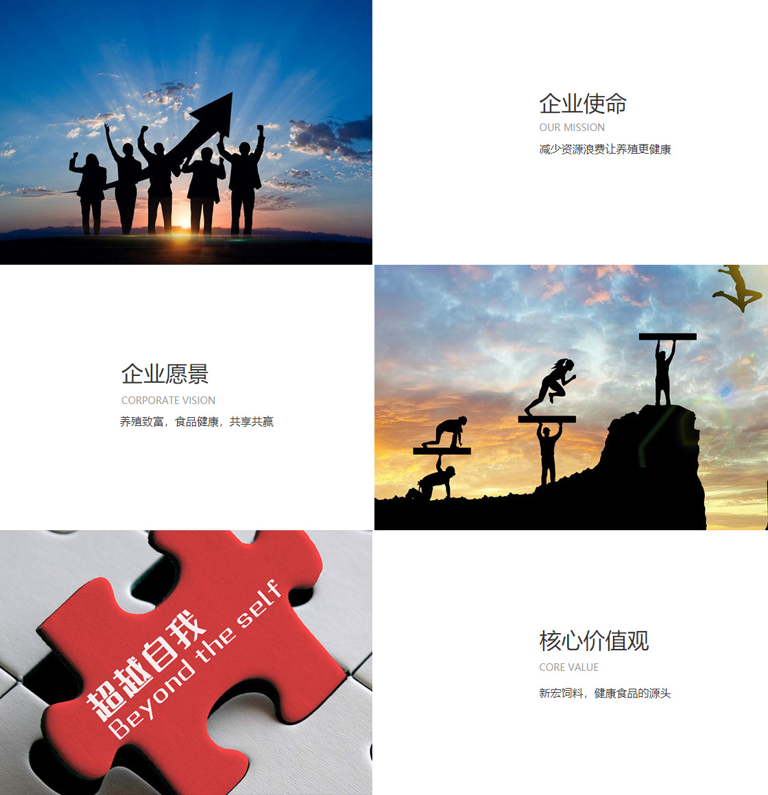 开云手机版登录入口(图1)
